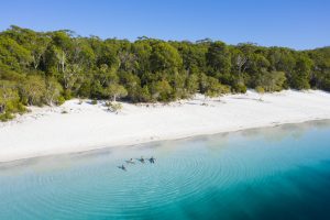 Lake-McKenzie-K'gari-Fraser-Island-image