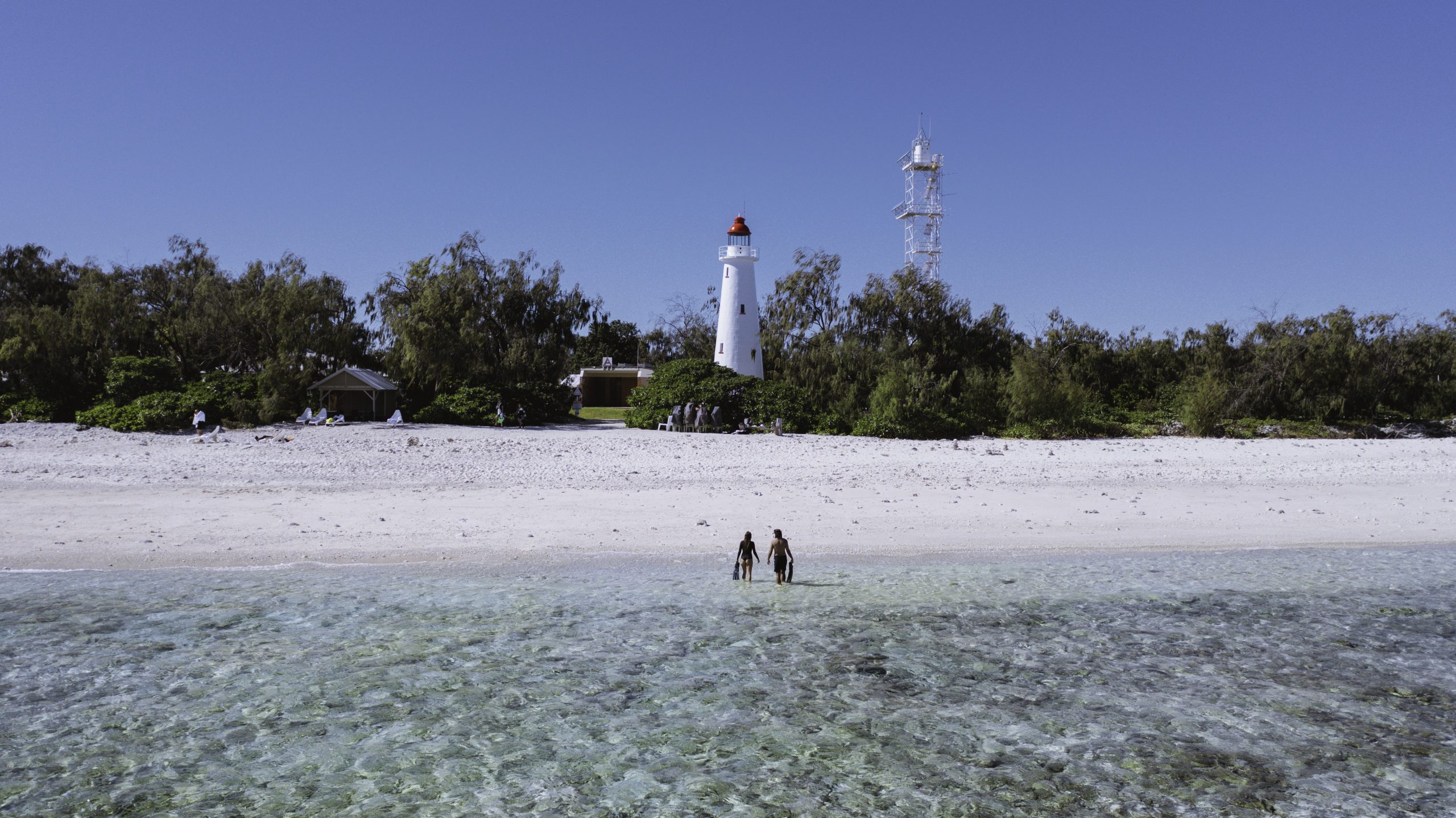 Lady-Elliot-Island-Lighthouse-image