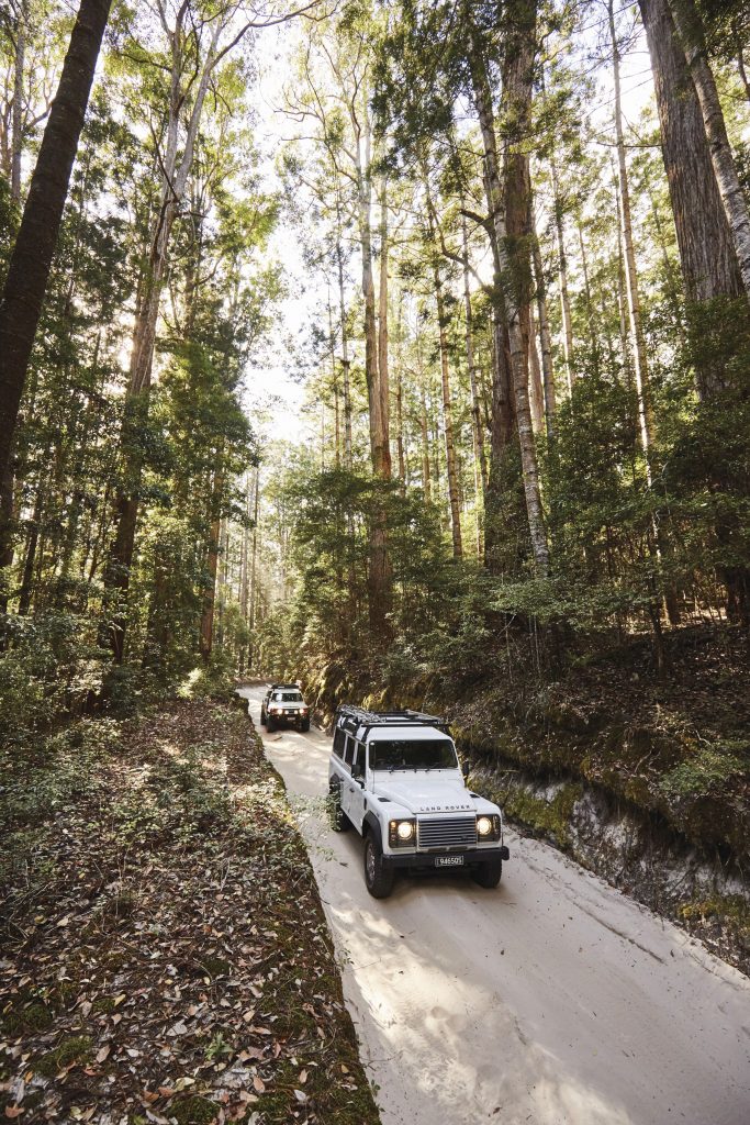 4WD-Sand-Tracks-K'gari-Fraser-Island-image
