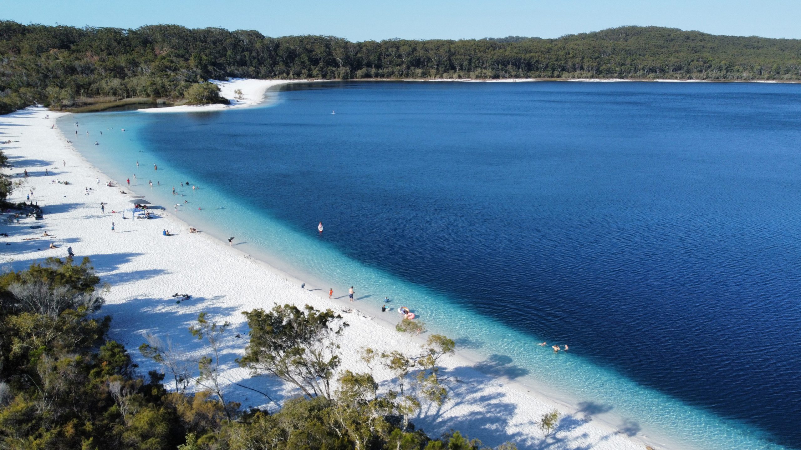 Lake McKenzie K'gari (Fraser Island) Lake-McKenzie-K'gari-Fraser-Island-image