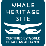 Whale-Heritage-Site-Hervey-Bay-logo