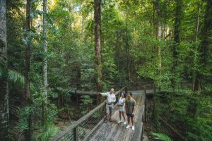 K'gari-Explorer-Tours-image