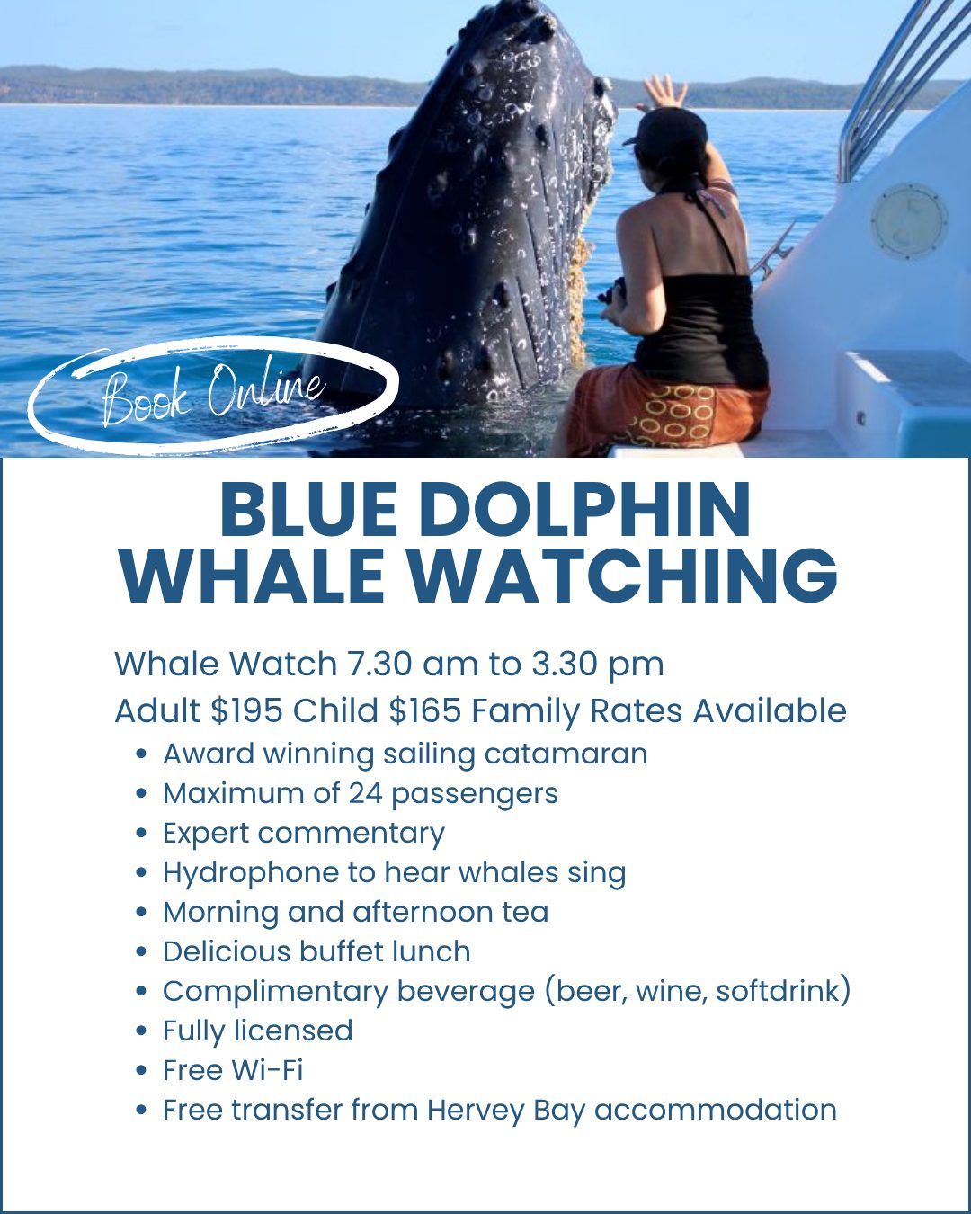 Blue-Dolphin-Whale-Watching-Hervey-Bay-image