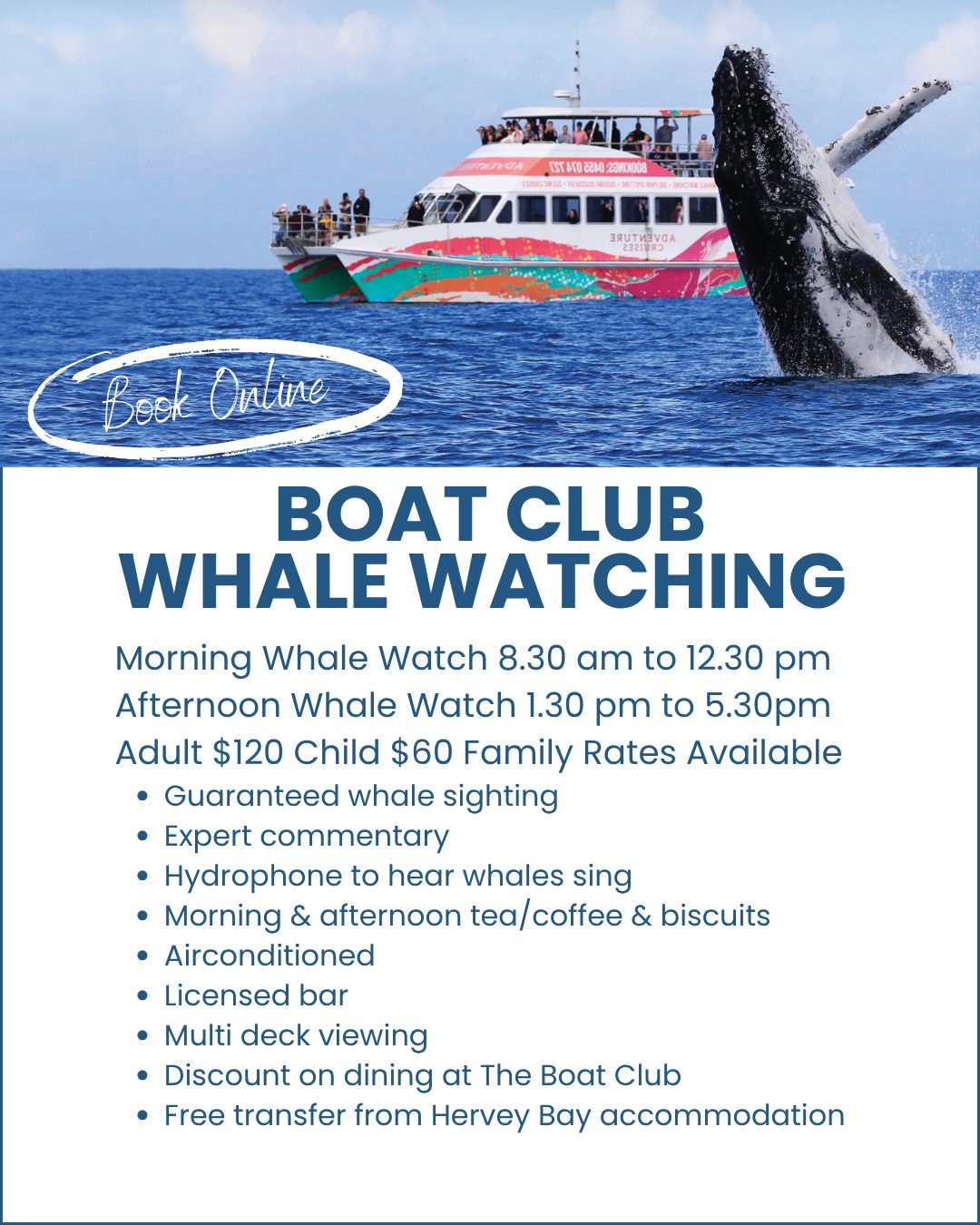 Hervey-Bay-Boat-Club-Whale-Watching-image