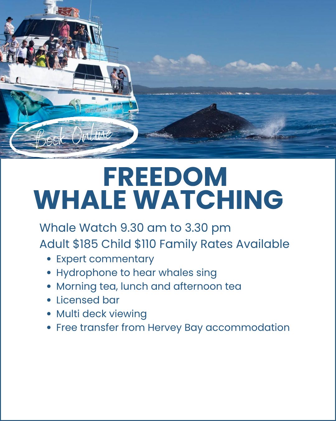 Freedom-Whale-Watching-Hervey-Bay-image