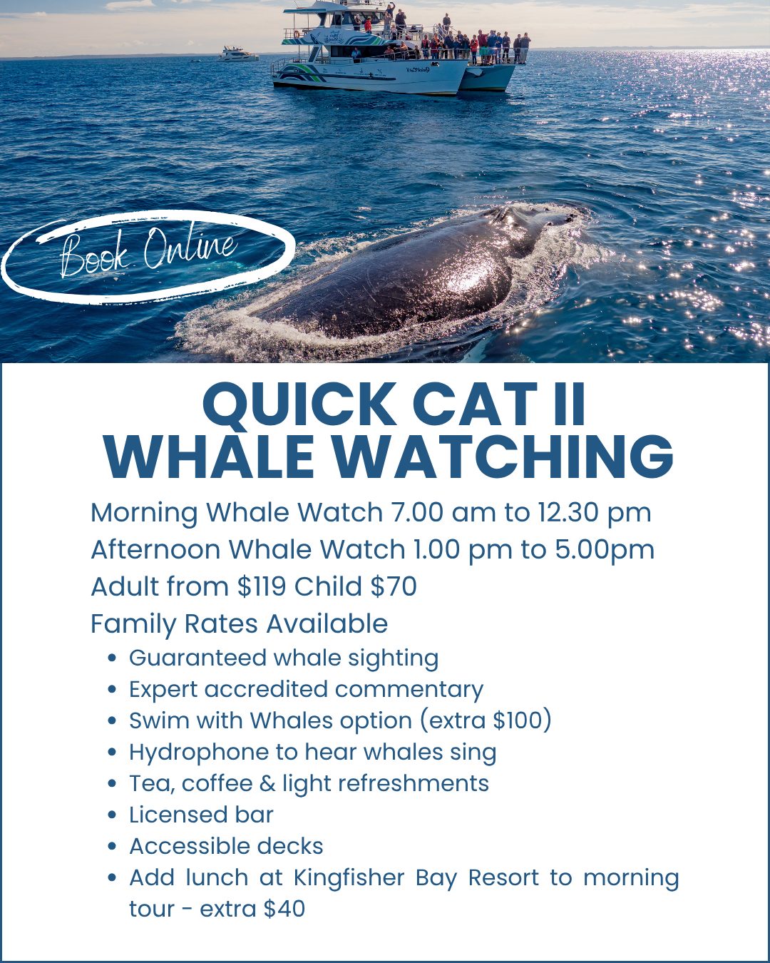 Hervey-Bay-Whale-Watch-Quick-Cat-image