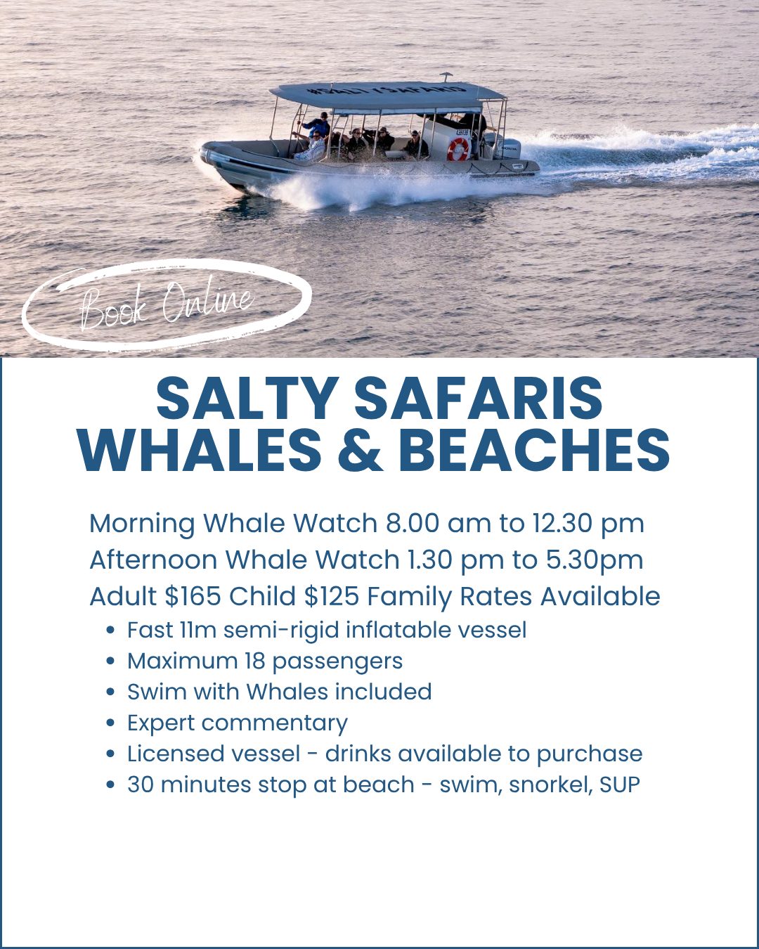 Whales-and-Beaches-hervey-Bay-image