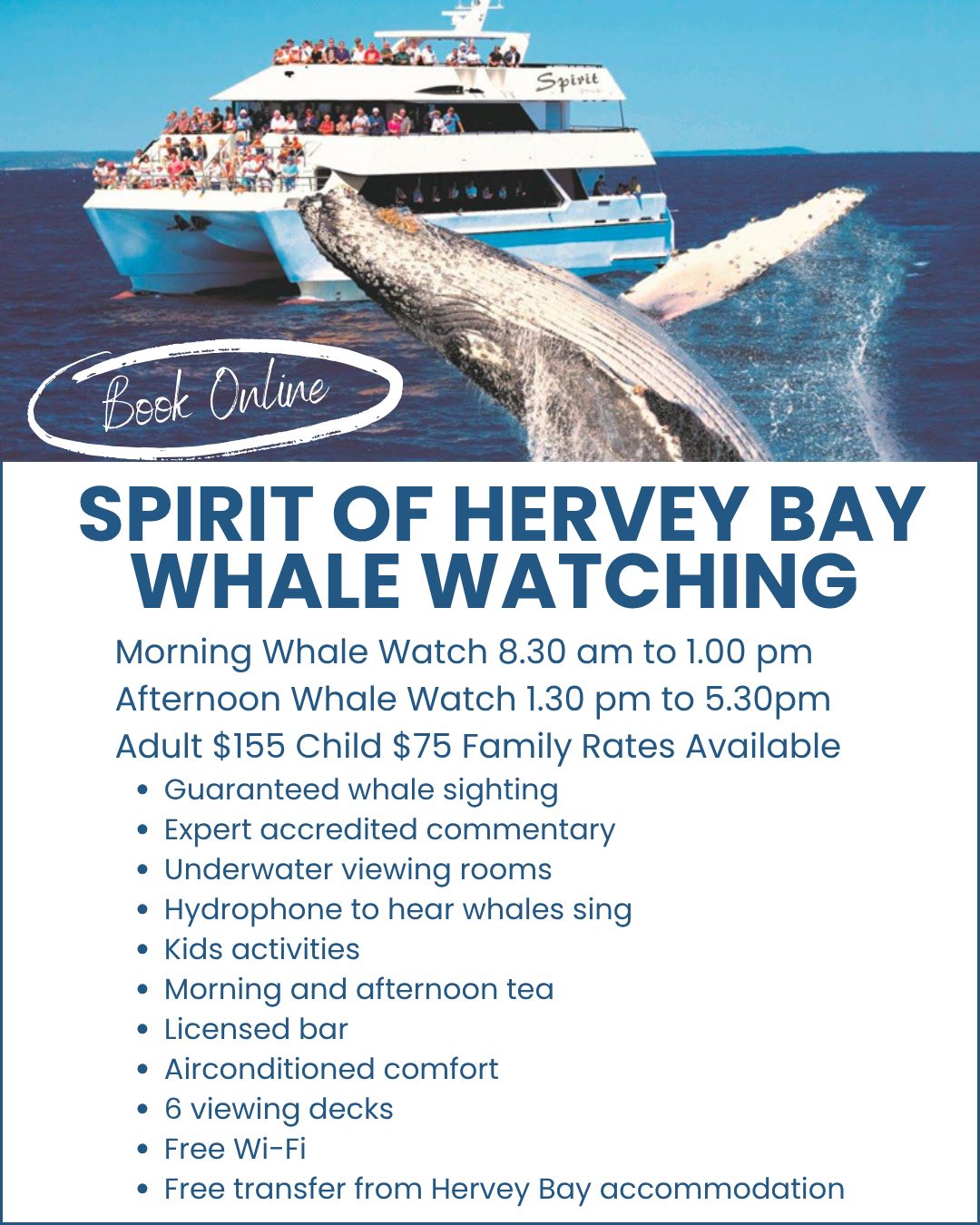 Spirit-of-Hervey-Bay-Whale-Watching-image