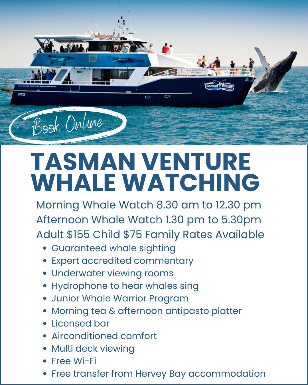 Tasman-Venture-Whale-Watching-Hervey-Bay-image