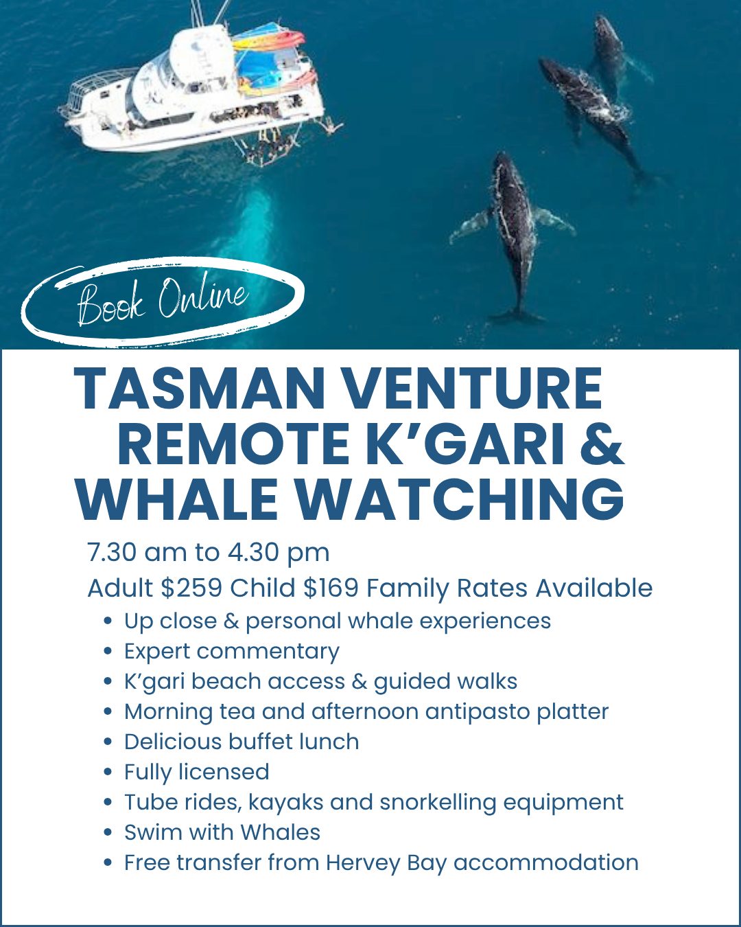 Tasman-Venture-Remote-Kgari-and-whale-watch-experience-image