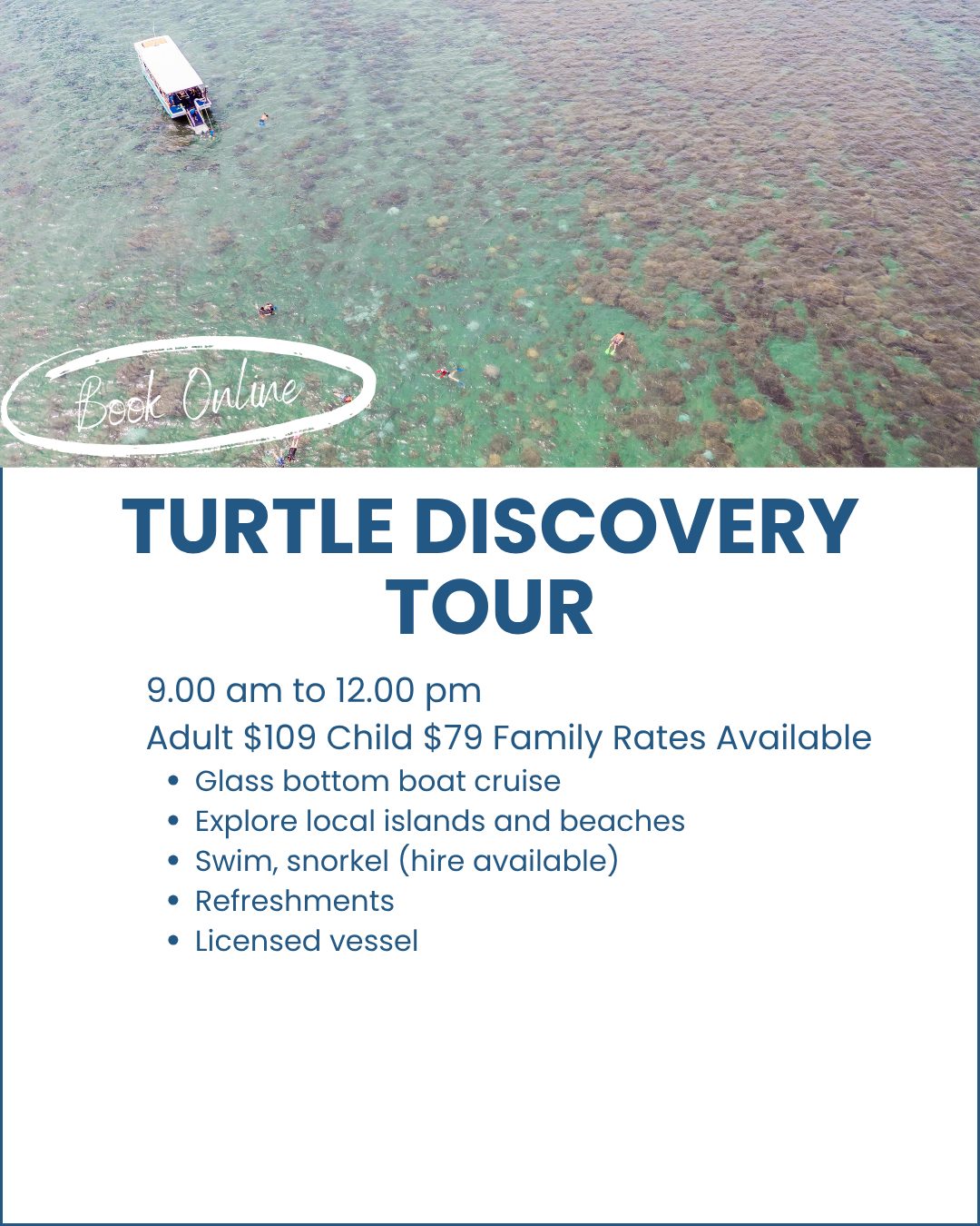 Turtle-Discovery-Tour-Hervey-Bay-image
