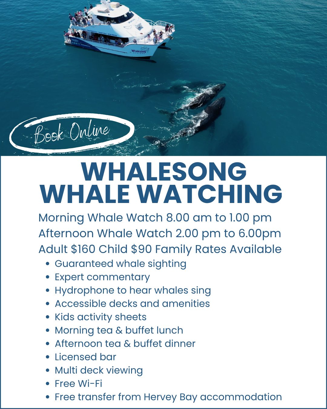 Whalesong-Whale-Watching-Hervey-Bay-image