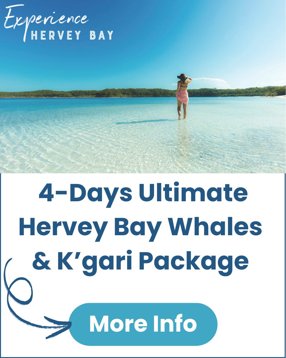 Four-Days-Ultimate-Hervey-Bay-Whales-and-Kgari-Package