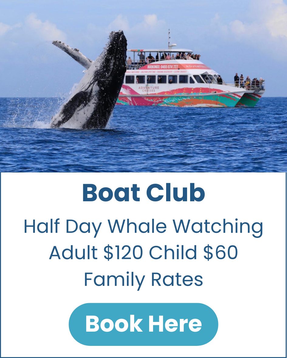 Boat-Club-Hervey-Bay-Whale-Watching-image