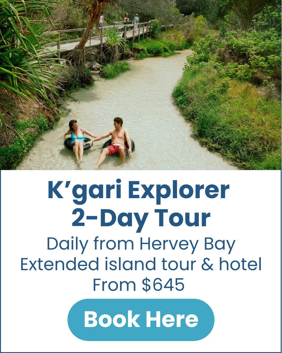 K'gari Explorer 2-Day Tour K'gari-Explorer-2-day-tour-from-hervey-bay-image