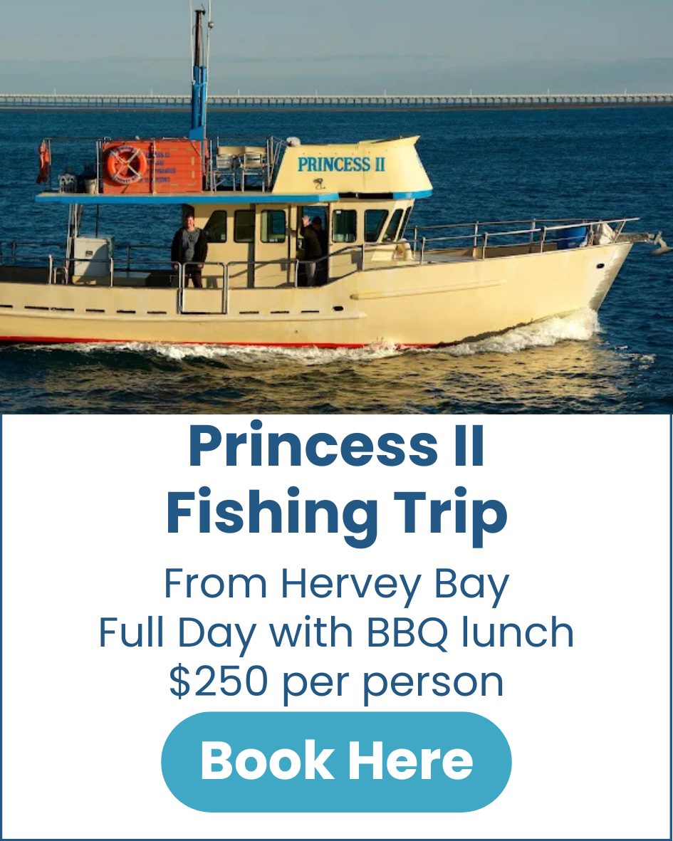 Princess II Fishing Trip Princess-II-Fishing-Trip-image