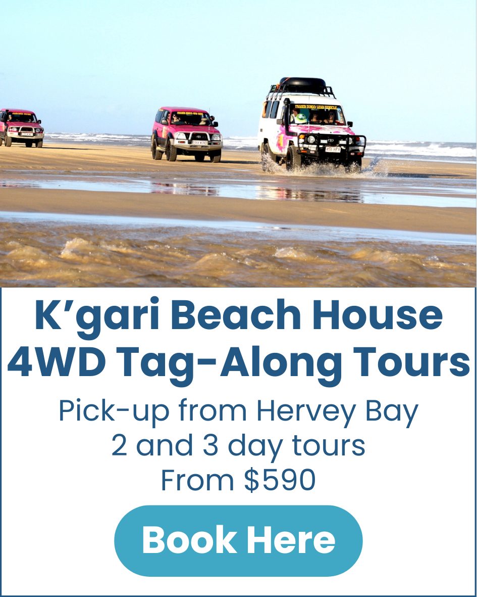 K'gari Beach House 4WD Tag Along Tours Tag-Along-Tours-from-Hervey-Bay-image
