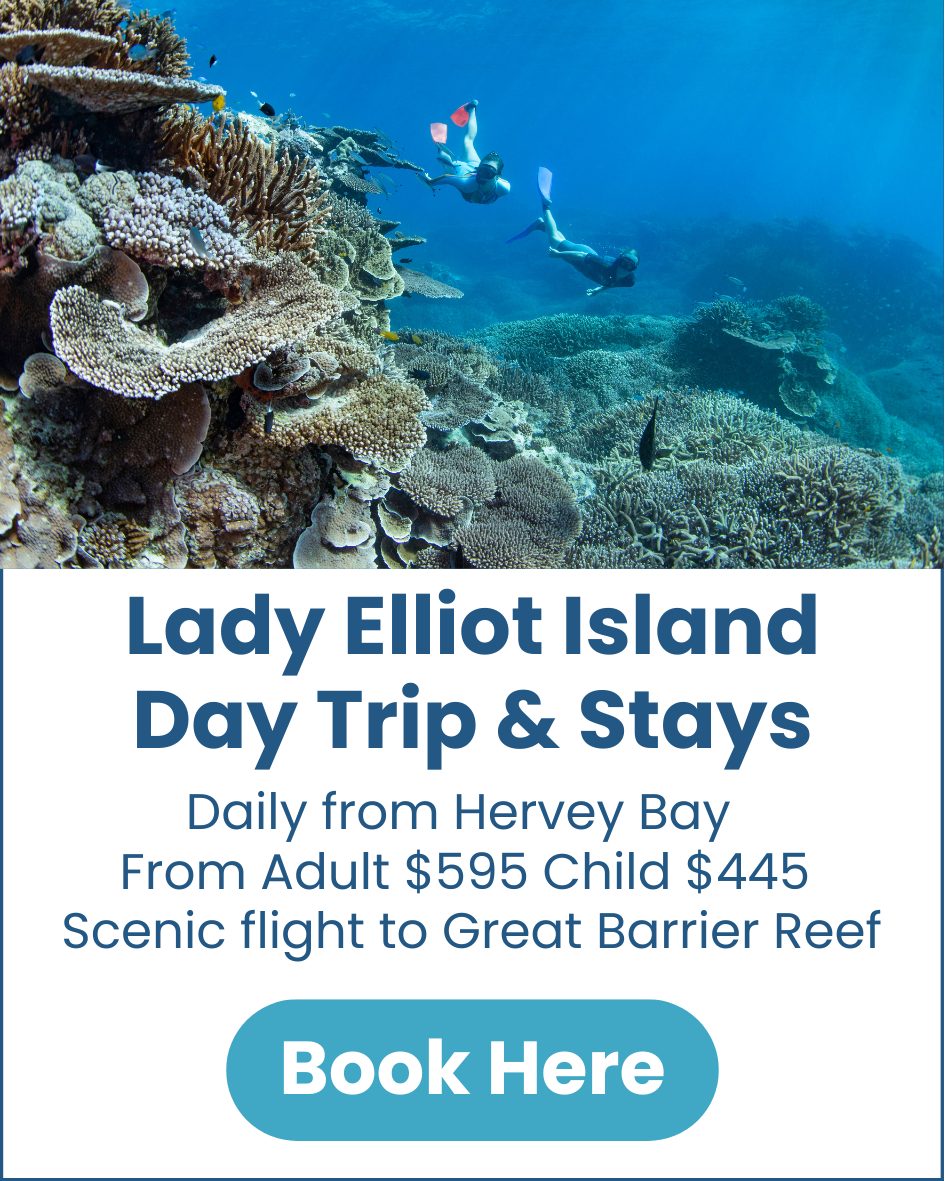 Lady Elliot Island Lady-Elliot-Island-Trips-from-Hervey-Bay-image