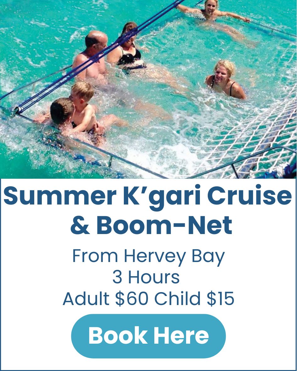 Summer K'gari Cruise Summer-Kgari-Boomnet-Cruise-Hervey-Bay-image