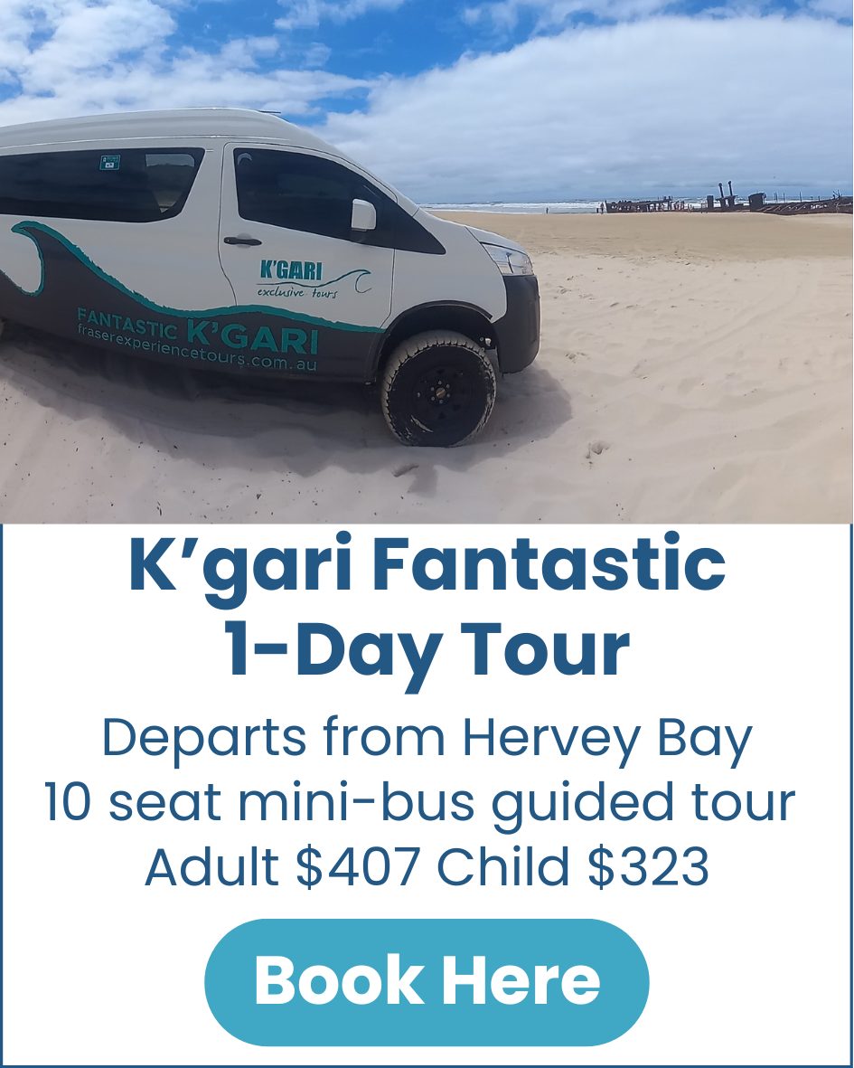K'gari Fantastic 1-Day Tour K'gari-Fraser-Island-Fantastic-4WD-Day-Tour-from-Hervey-Bay-image