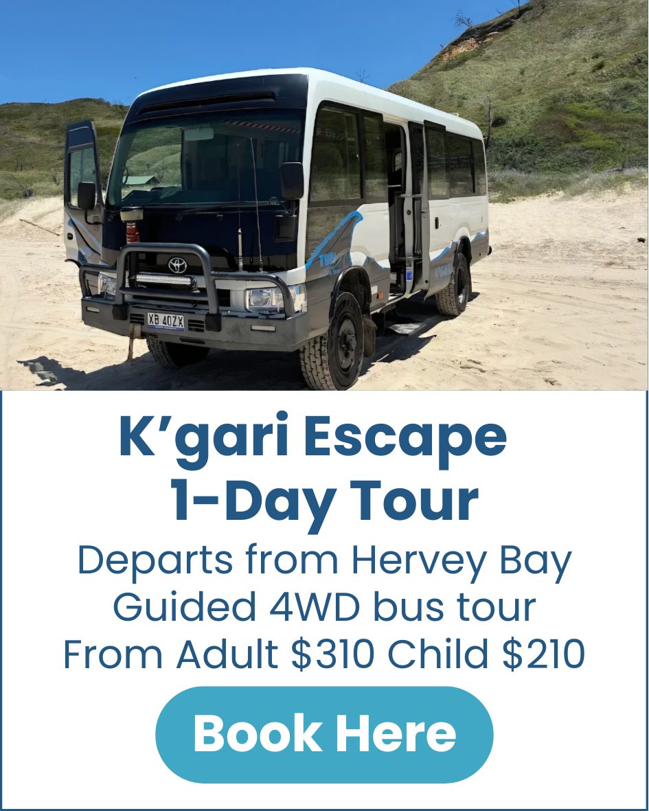 K'gari Escape 1-Day Tour K'gari-Fraser-Island-Escape-1-day-tour-from-hervey-bay-image
