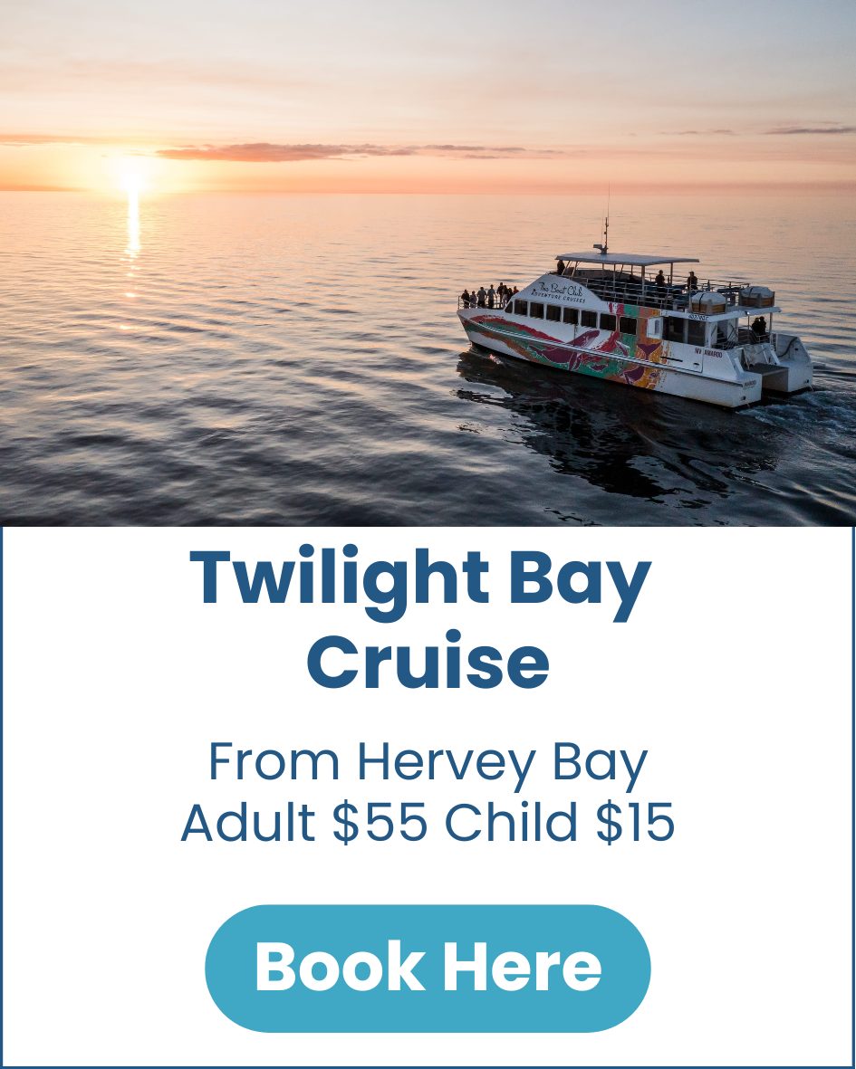 Hervey Bay Boat Club Twilight Bay Cruise Hervey-Bay-Boat-Club-Twilight-Bay-Cruise-image