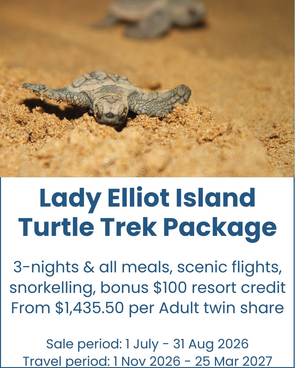 Turtle Trek Package Lady Elliot Island 2 Lady-Elliot-Island-Turtle-Trek-Package-image