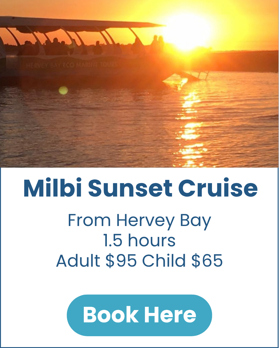 Milbi Sunset Cruise Milbi-Sunset-Cruise-Hervey-Bay-image