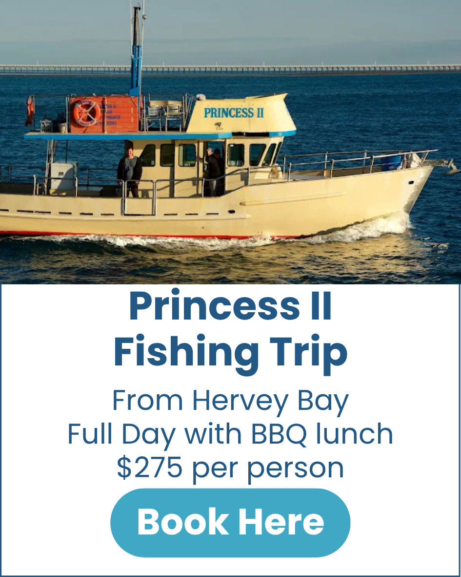 Princess II Fishing Trip Princess-II-Fishing-Trip-from-Hervey-Bay.image