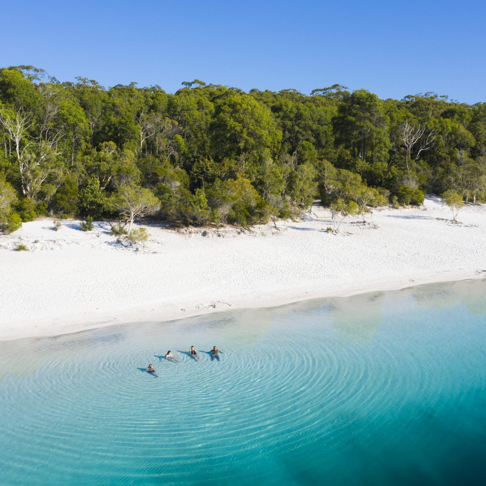 Lake-McKenzie-K'gari-Fraser-Island-image
