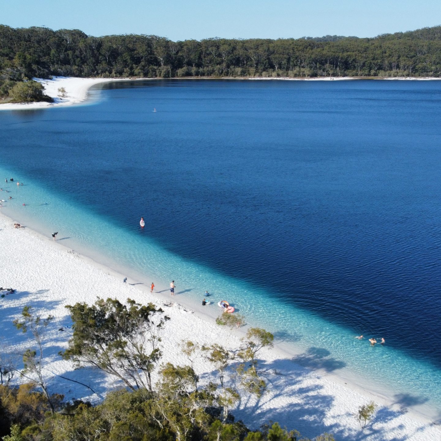Lake-McKenzie-K'gari-Fraser-Island-image
