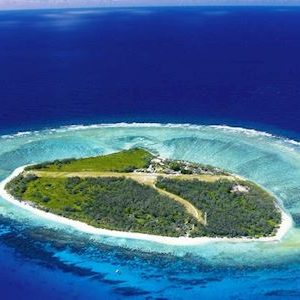 Lady-Elliot-Island-image