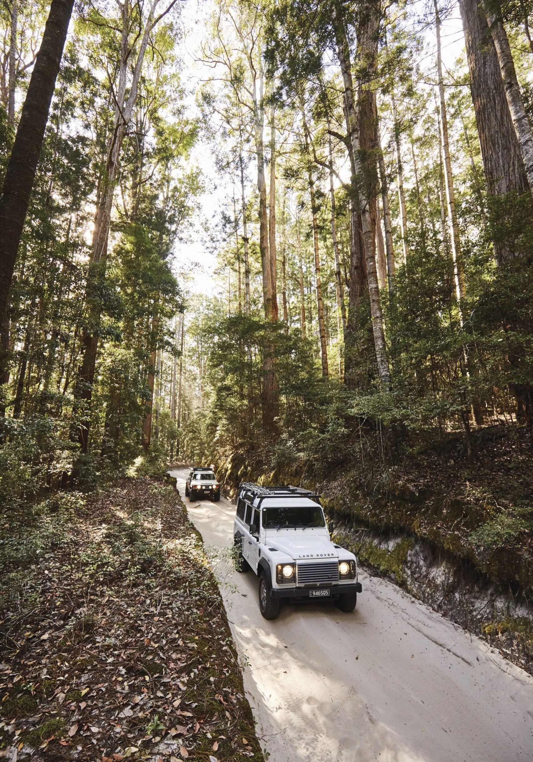 4WD-Sand-Tracks-K'gari-Fraser-Island-image