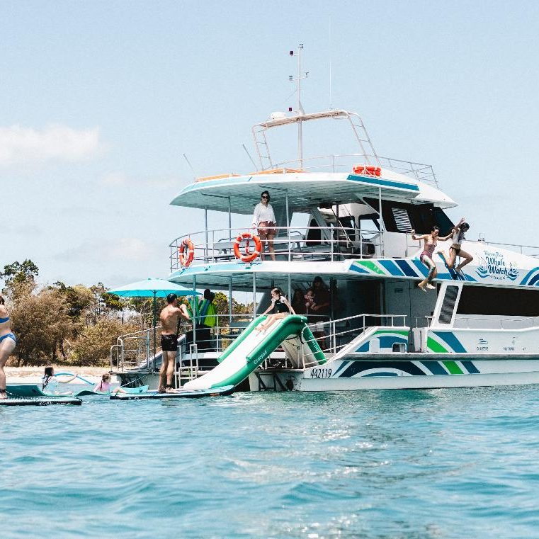 Aqua-Oasis-Cruise-Hervey-Bay-image