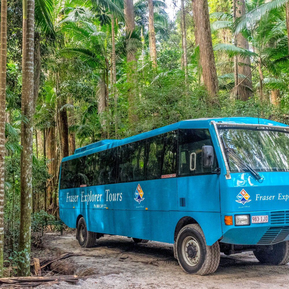 K'gari-Explorer-Tours-4WD-Bus-image